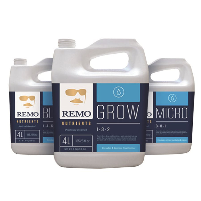 Micro de Remo