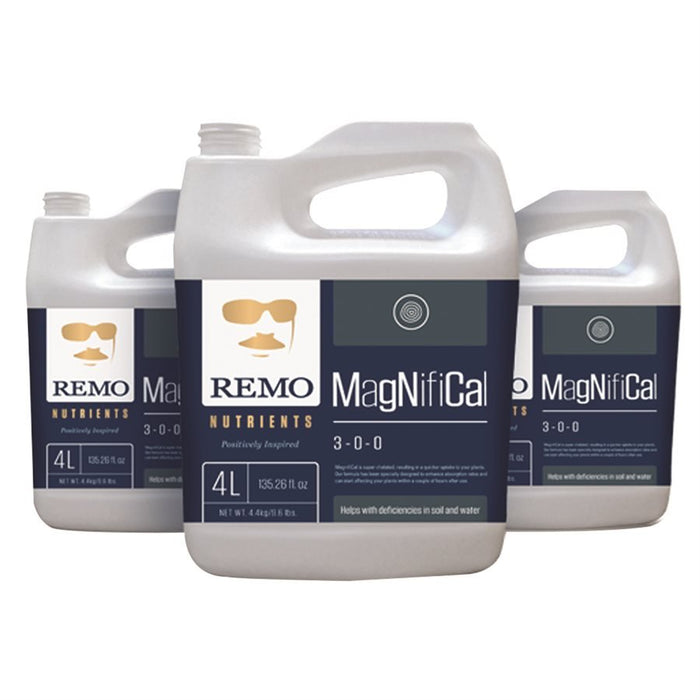 MagNifiCal de Remo