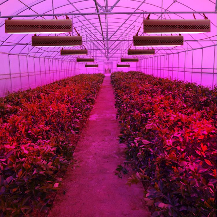 Fusion Bright Linear 4FT 200 Real Watt Full Spectrum LED Bar