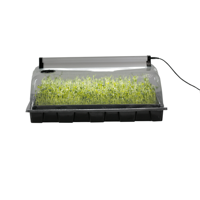 18 Watt Propagation Greenhouse with LEDs