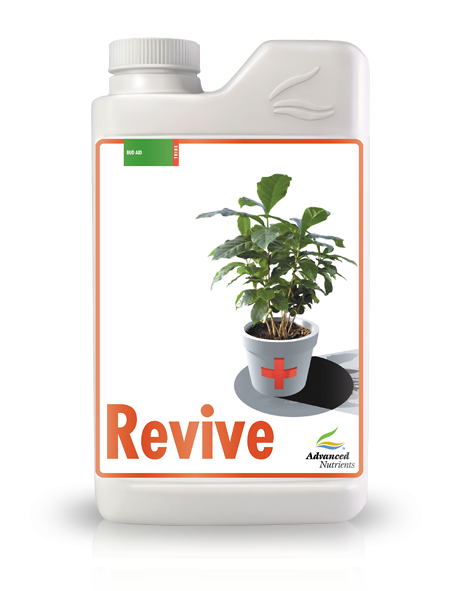 Revive 1L