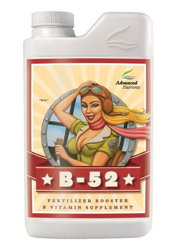 Supplément de vitamine B-52 B