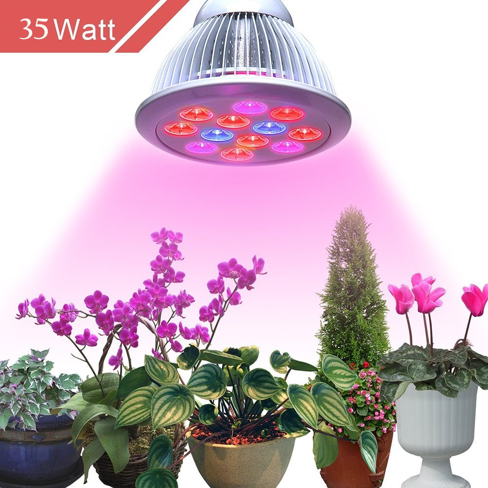 Lampe pour plantes d'intérieur - 50 W - À spectre complet - Culot