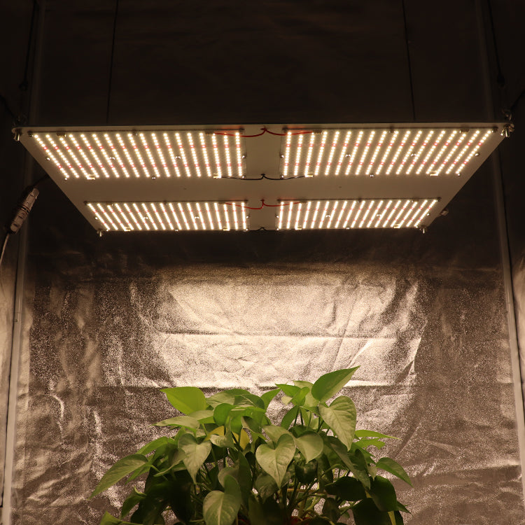 480 Watt FB288 LM301H 3000k + 660nm + UV +IR LED Fusion Board